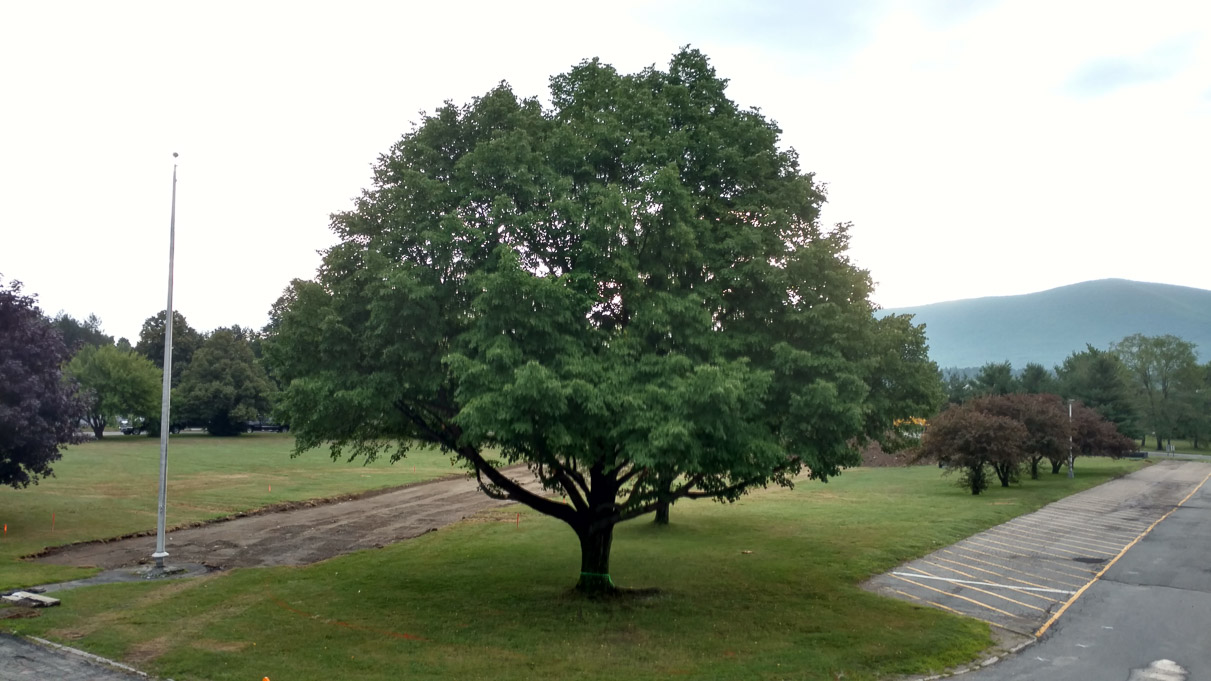 IMG_20160801_070607036_HDR