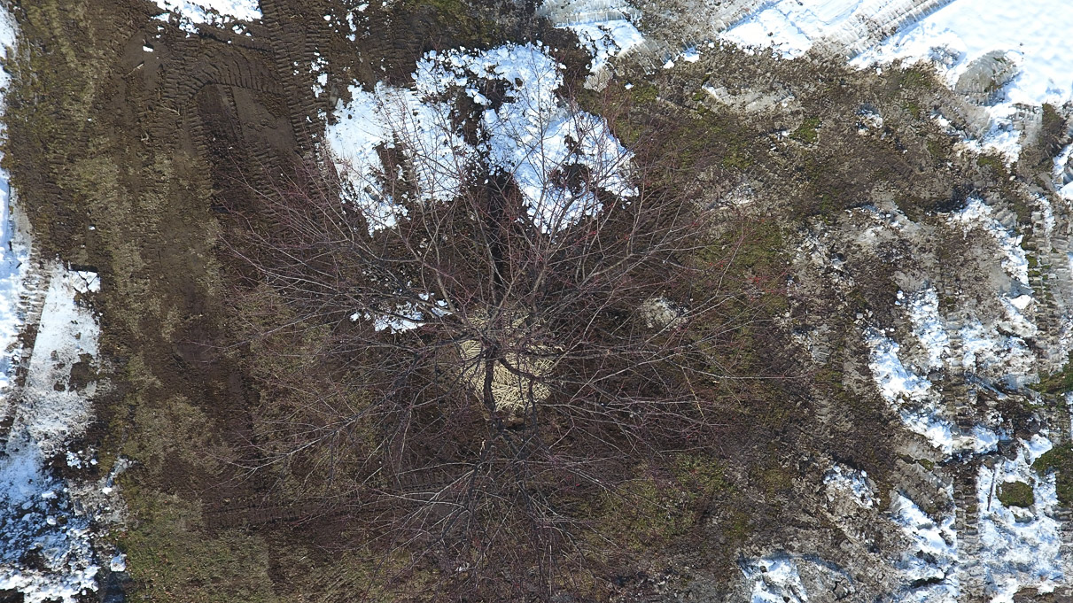 DJI_0001F (17)