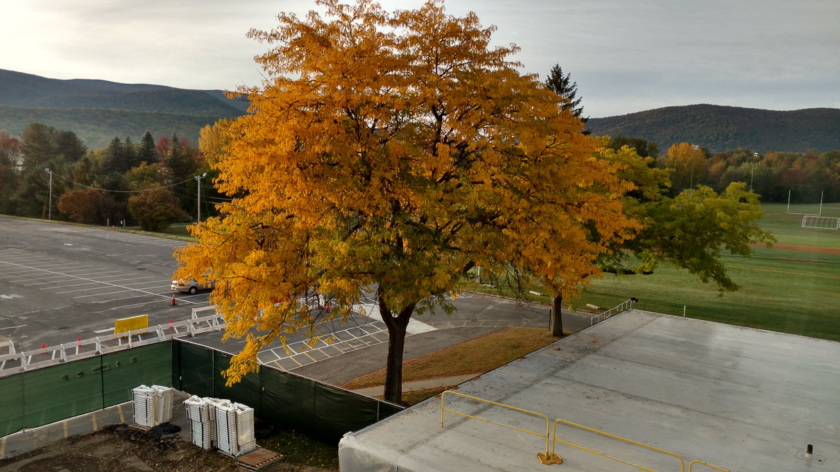 IMG_20161008_074129926_HDR