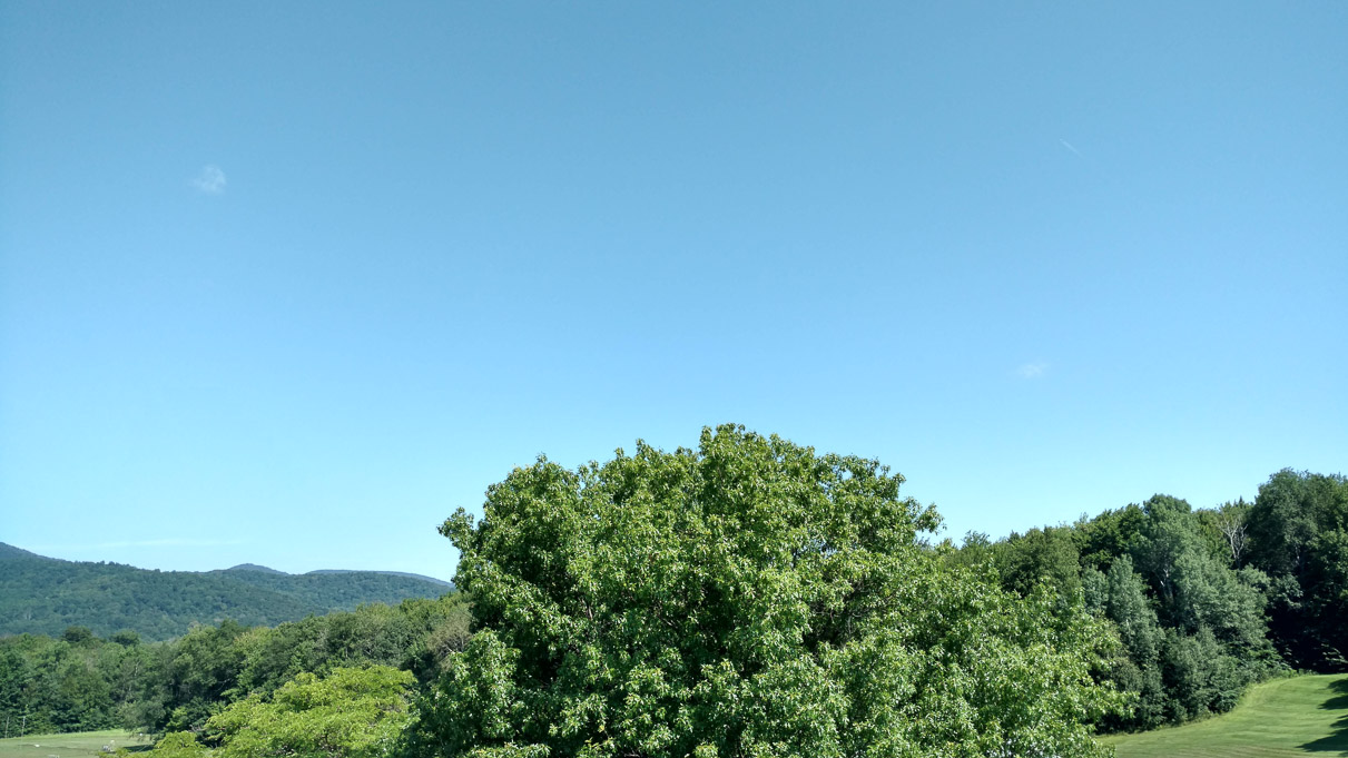 IMG_20170809_103121669_HDR