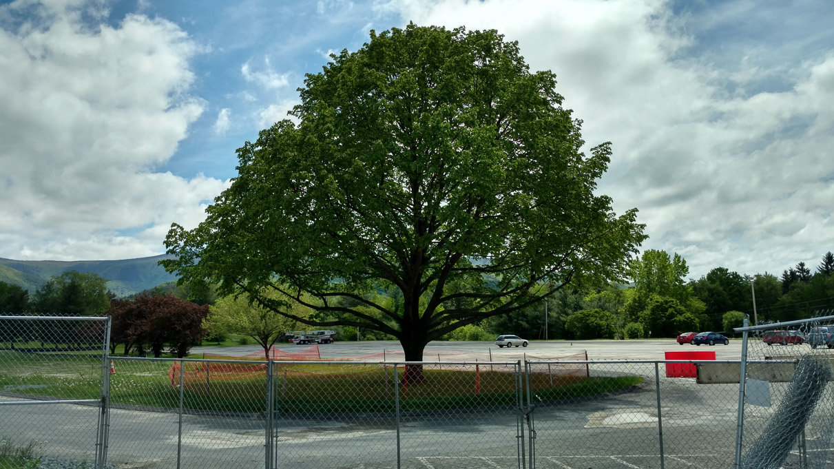 IMG_20170527_122421961_HDR