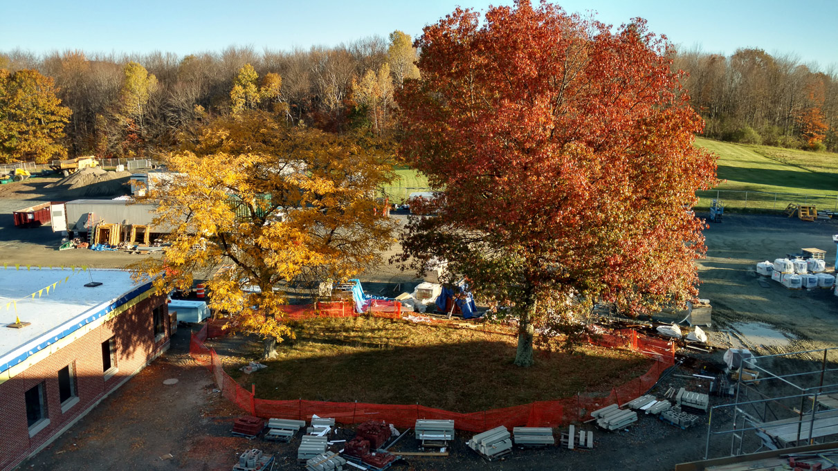 IMG_20171028_084404036_HDR