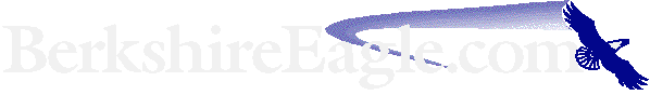 eagle.gif (4452 bytes)