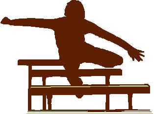 hurdles.jpg (9968 bytes)